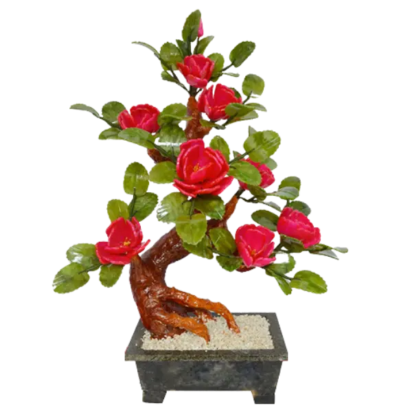 Bonsai Hải Đường 8 bông